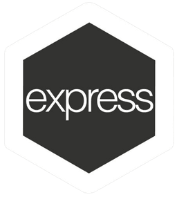 Express Icon